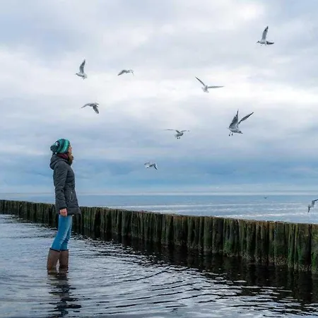 Strandhaus Redewisch Whg 5 Διαμέρισμα Boltenhagen (Ostseebad)